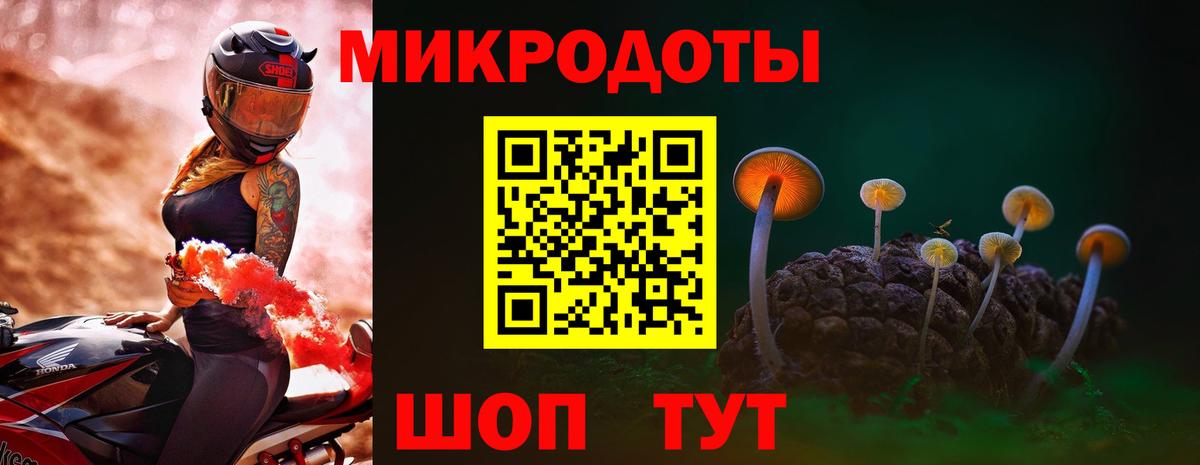 Галлюциногенные грибы Cubensis  Вход с VPN  Гусев 